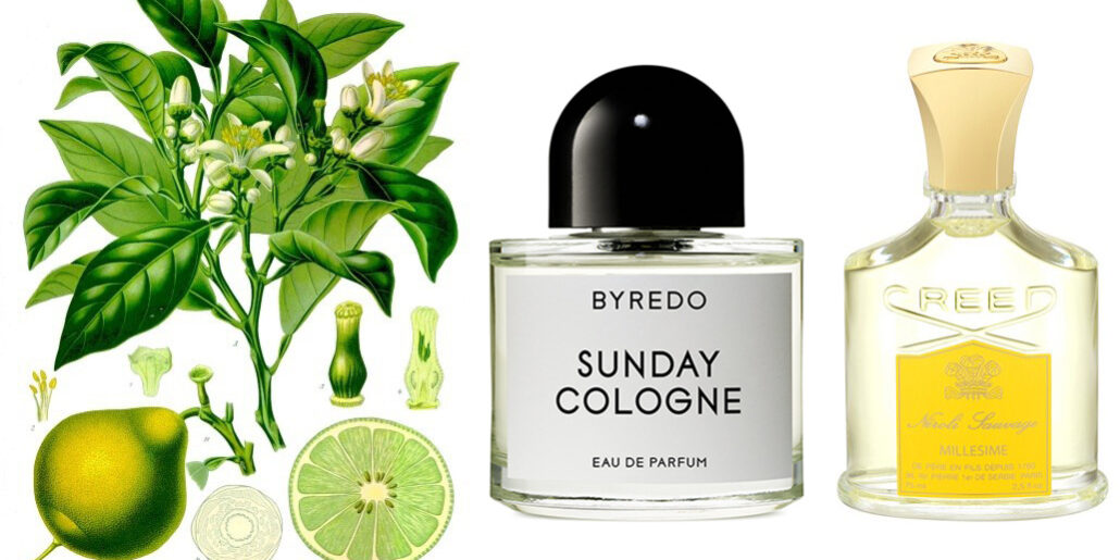 a-profumi-bergamotto