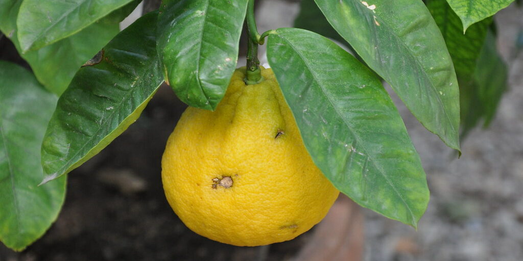 6004920823_e5f3cd12a2_b