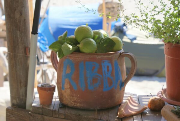 SONY DSC bergamotto benefici